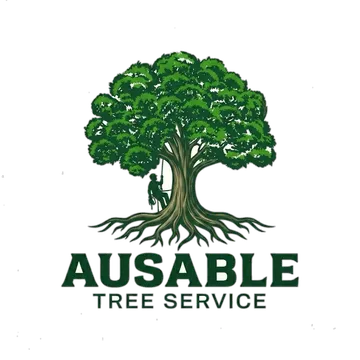 Ausable Tree Service